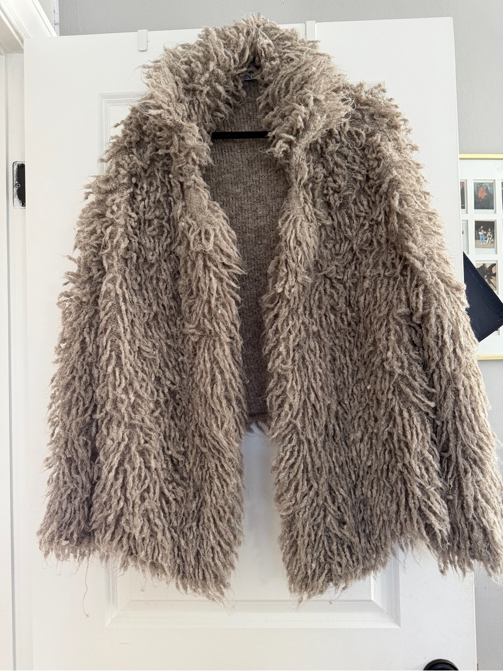 Zara Taupe Shag Teddy Jacket - Women
